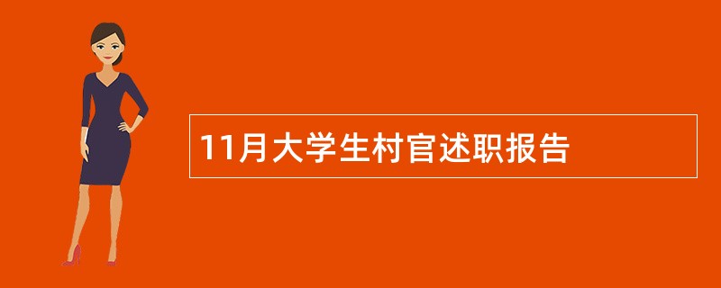 11月大学生村官述职报告