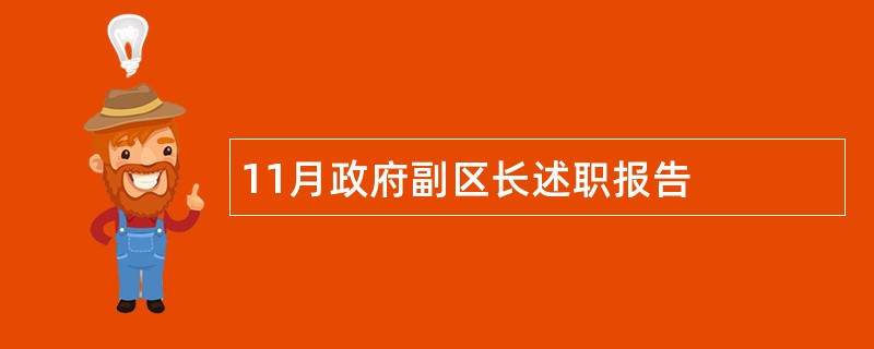 11月政府副区长述职报告