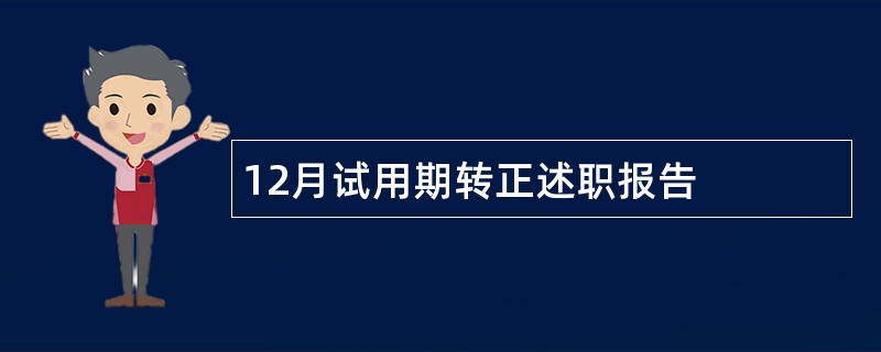 12月试用期转正述职报告