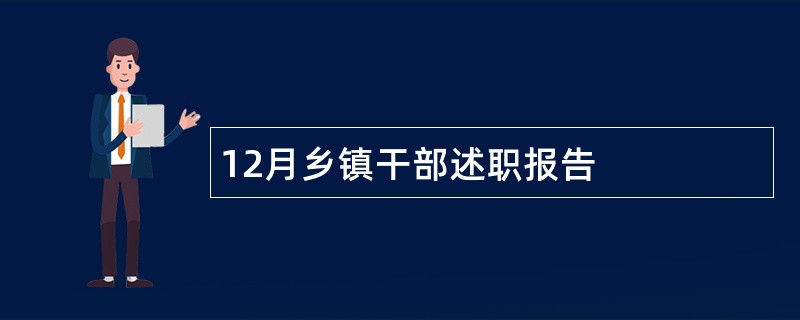 12月乡镇干部述职报告