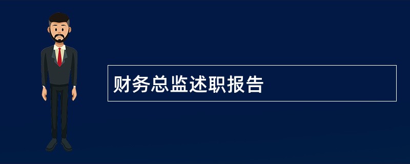 财务总监述职报告