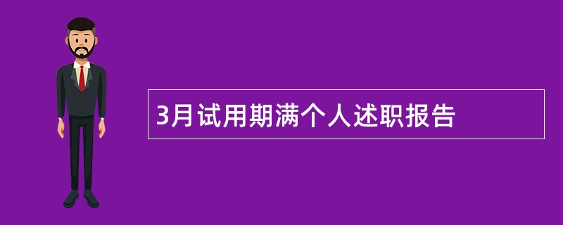 3月试用期满个人述职报告