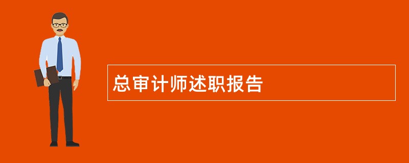 总审计师述职报告