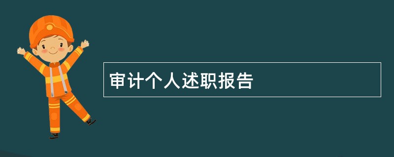 审计个人述职报告