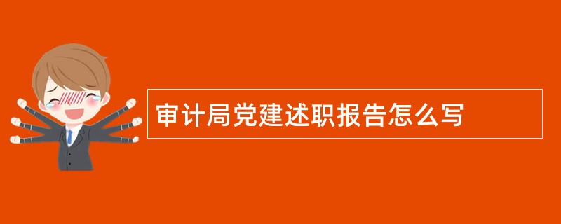 审计局党建述职报告怎么写