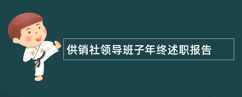 供销社领导班子年终述职报告