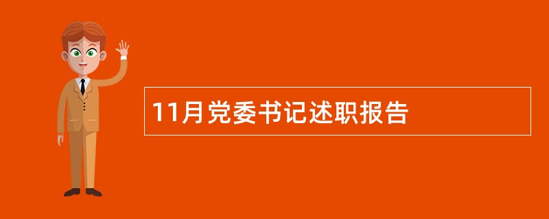 11月党委书记述职报告