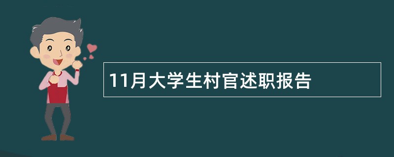 11月大学生村官述职报告