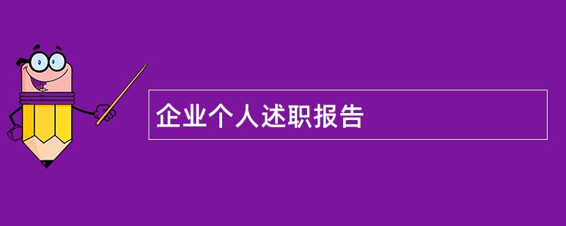 企业个人述职报告