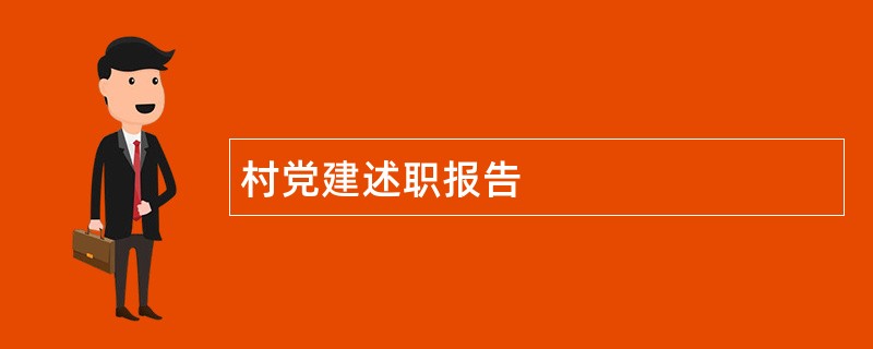 村党建述职报告