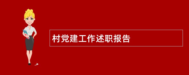 村党建工作述职报告