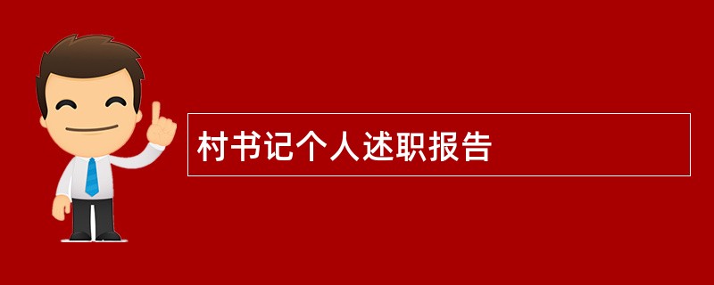 村书记个人述职报告