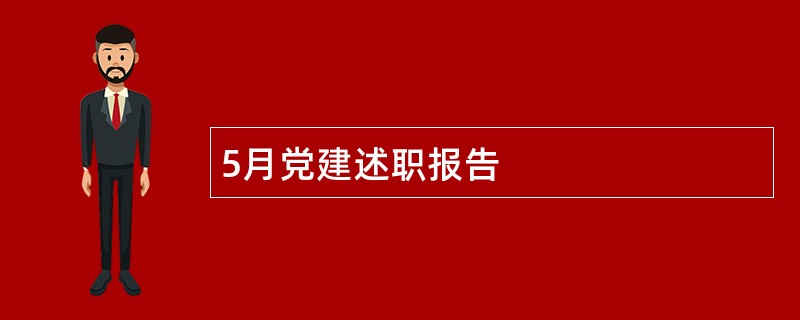 5月党建述职报告