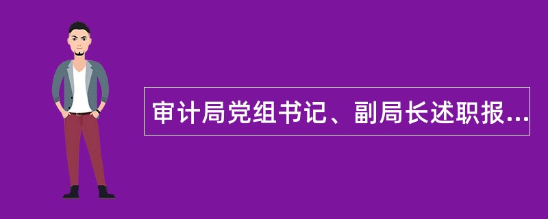 审计局党组书记、副局长述职报告