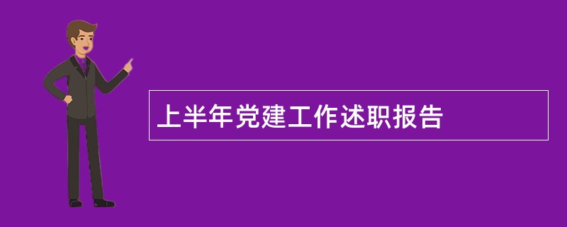 上半年党建工作述职报告