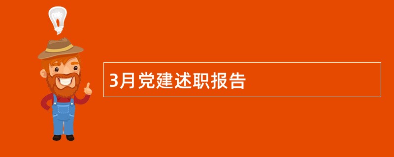 3月党建述职报告