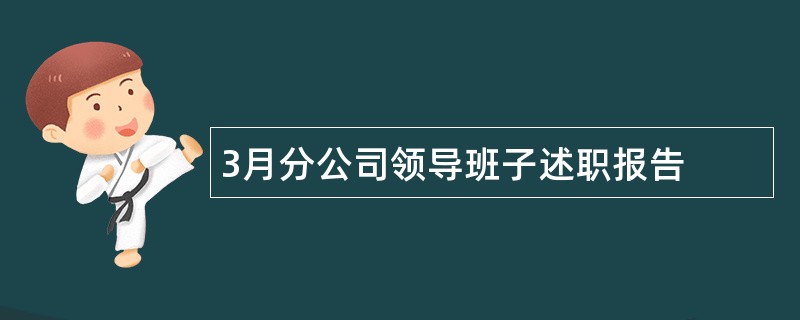 3月分公司领导班子述职报告