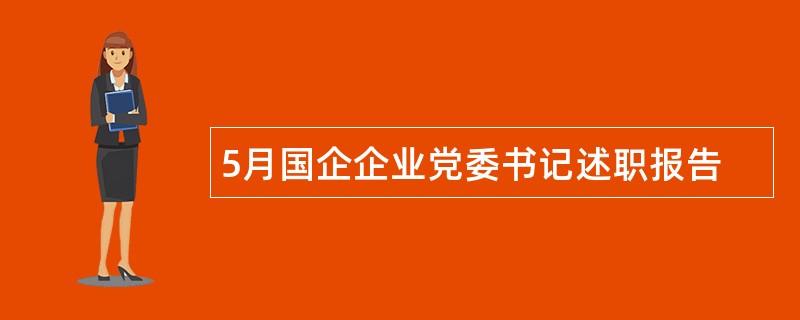 5月国企企业党委书记述职报告