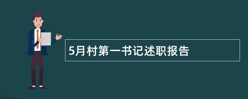 5月村第一书记述职报告