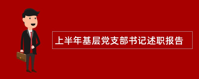 上半年基层党支部书记述职报告