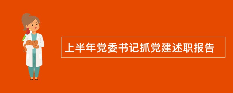 上半年党委书记抓党建述职报告