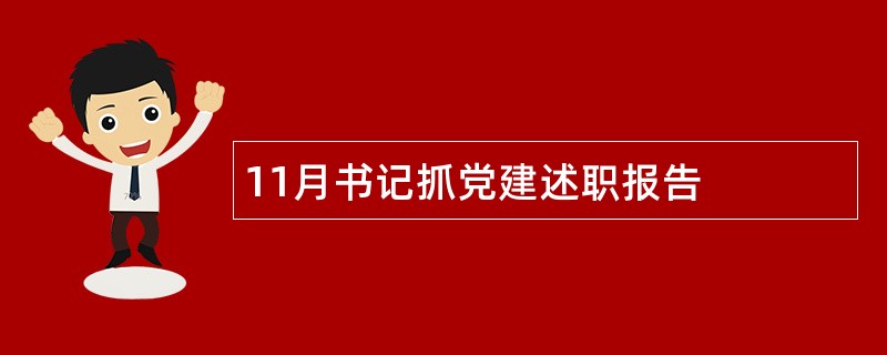 11月书记抓党建述职报告