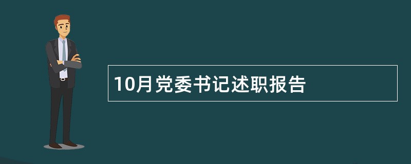 10月党委书记述职报告