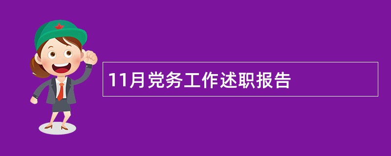 11月党务工作述职报告