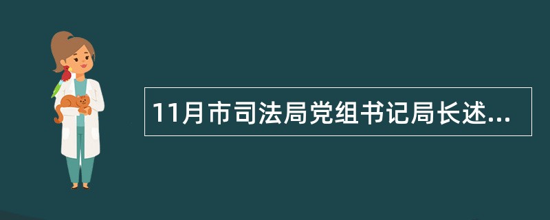 11月市司法局党组书记局长述职报告