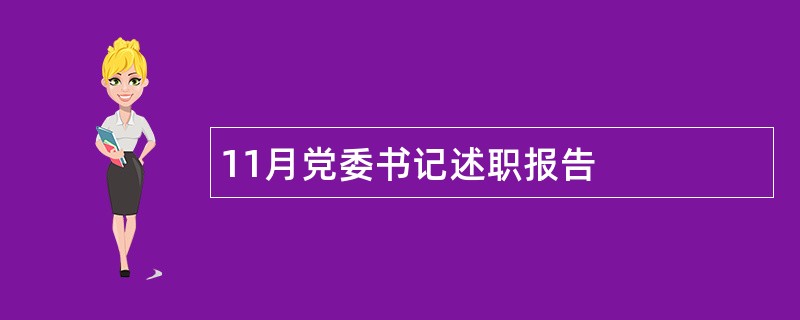 11月党委书记述职报告