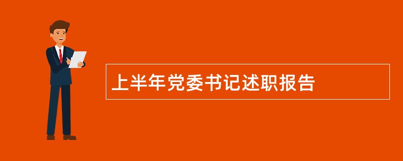 上半年党委书记述职报告