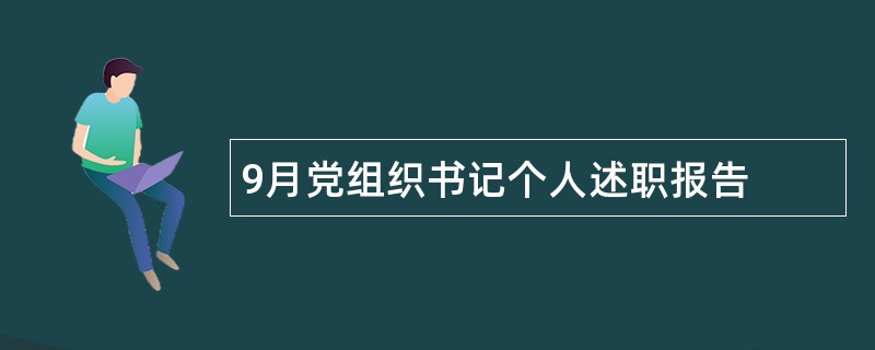 9月党组织书记个人述职报告