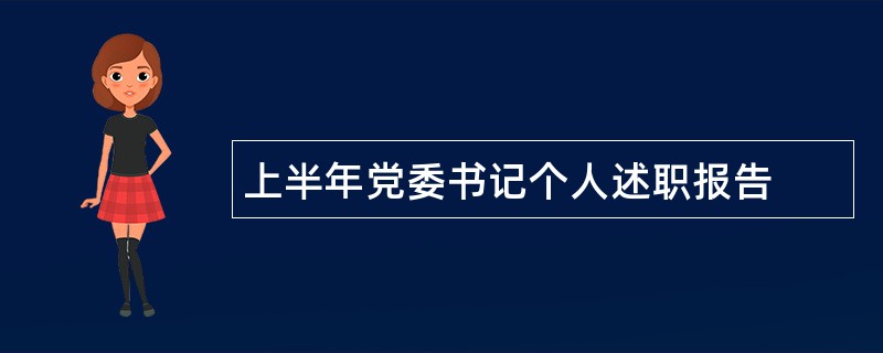 上半年党委书记个人述职报告