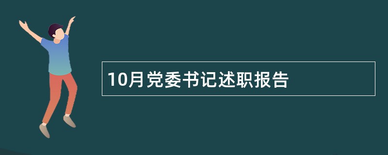 10月党委书记述职报告