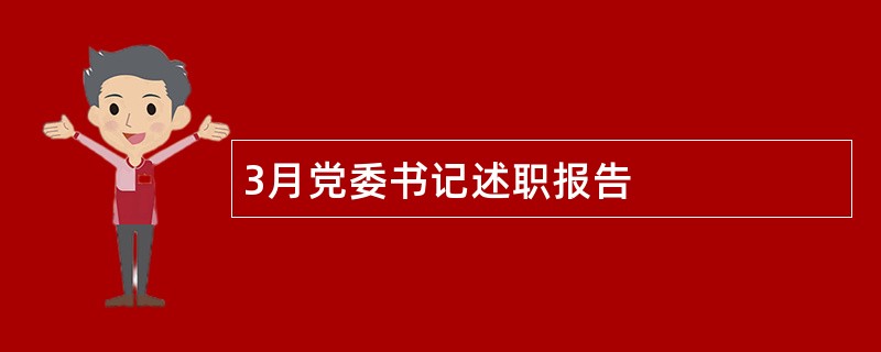 3月党委书记述职报告