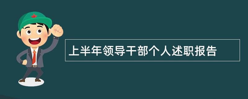 上半年领导干部个人述职报告