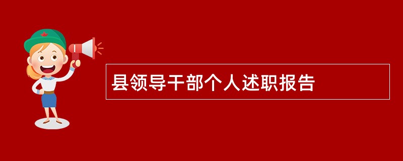 县领导干部个人述职报告