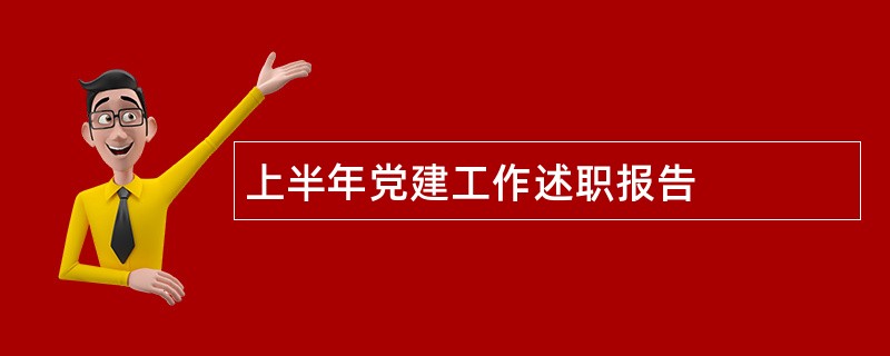 上半年党建工作述职报告