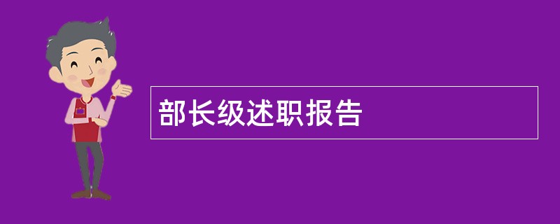 部长级述职报告