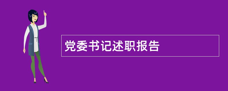 党委书记述职报告