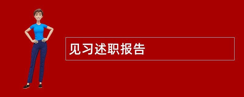 见习述职报告